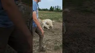 #myyearonyoutube