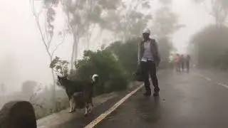 Bike Ride to Nandi Hill on UM Renegade Commando - Bangalore