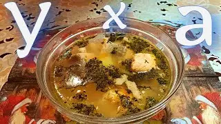 Домашняя уха из сёмги ! Очень вкусная уха На кухне у любани!