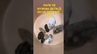 4 ноября 2021 г.