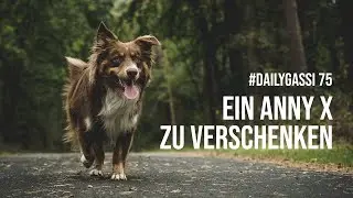 Ein Anny X zu verschenken [DailyGassi #75]
