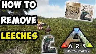 ARK SURVIVAL EVOLVED HOW TO REMOVE LEECHES