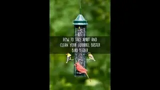 How to Take Apart and Clean Your Squirrel Buster Bird Feeder