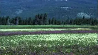 The virtue of remembering Allah