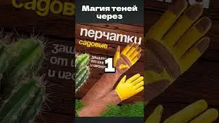 Дизайн инфографики кур 
