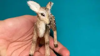 From start to finish - deer 🦌