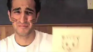 Spaghetti cat - Music video