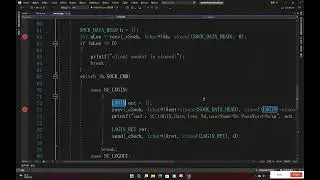 C++自定义数据包发包与拆包详细解说
