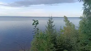 Грибник рад редким грибным находкам в летнюю засуху