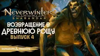 Neverwinter: Sharandar ◈ Возвращение в Древнюю Рощу [Выпуск 4]