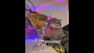 Miposanaa 🥹