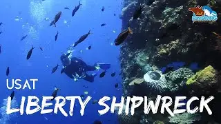 USAT Liberty Shipwreck