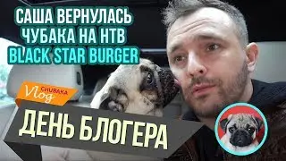 Возвращение Саши, Чубака на НТВ, День блогера. Chubaka Vlog!