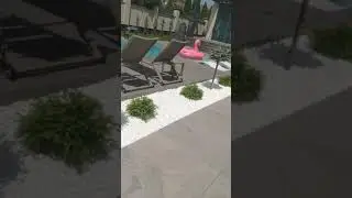 Рулонный Газон в Совиньоне. Одесса