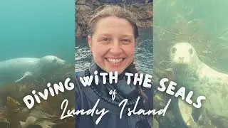 I Went Diving With Seals!