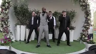 047 Ball in the House