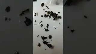 сказка если все  Украинцы выйдут за мир.