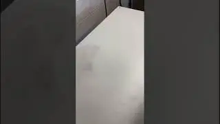 Deri İşçilik Çalışmaları