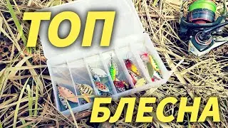 ТОП БЛЕСНА Поймаешь Всегда.Рыбалка