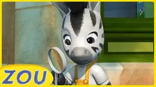 ZOU Investigates | New Compilation | 1 hour of ZOU in English 🦓 | Cartoons