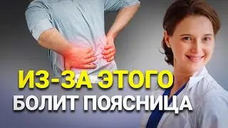 Как избавиться от боли в спине и пояснице? Простые упражнения для восстановления здоровья.