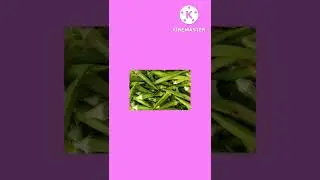 Benefits Of Okra | 