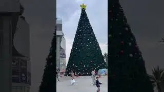 Giant Christmas Tree 