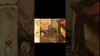 Есть телек, есть духовка 😂😆🤣🔥
