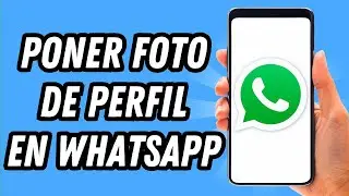 How to set a profile picture on WhatsApp in 2025 (COMPLETE GUIDE)