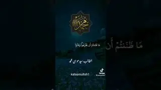 Beautiful Voice For Qari Sayd 2023