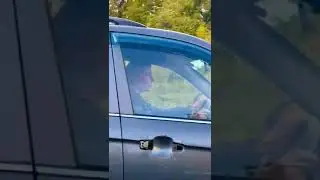 Чайник за рулем