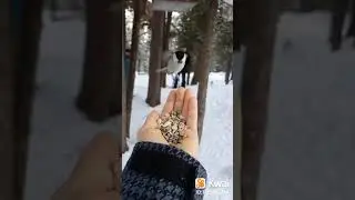 Хателось покормить!!!🙃