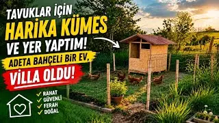 I built a new chicken coop with a garden for my chickens 🐔 It's practically a villa 🏡 The cost? F...
