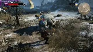 Witcher 3 - Graphics Mod 2019 - GTX 980 Ti