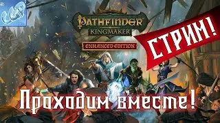 Pathfinder: Kingmaker ► Мерцающая башня! Колдун. Стрим! Прохождение игры - 16