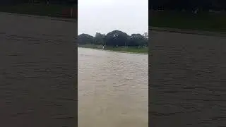 natural beauty of Bangladesh #villagelife #riverside #shortvideo