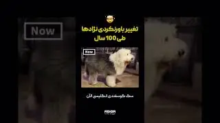 تغییرات سگ ها از گذشته تا الان🤯#shorts