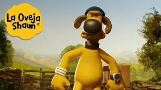 La Oveja Shaun 🐑 ¡Perro enojado! 🐑 Dibujos animados para niños