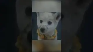 МИЛАЯ ИСТОРИЯ🥰