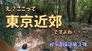 ここが東京近郊なの？〜がう道で沈下橋巡りのグループライド