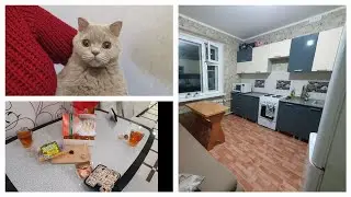 VLOG 02.11.2023 г Сладости/ Комнатные растения/ В гостях/ Котенок Симба/ Разобрала кухню/ Стирка