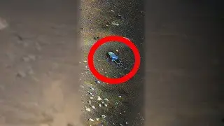 Mars Helicopter Spotted This 