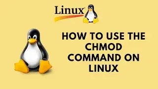 Linux Command Line Basics Tutorials - How to Use the chmod Command on Linux