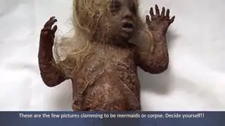 top 3 real mermaid deep sea mythical creaturesvideo caught on camera