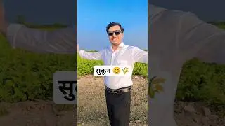 सुकून बस यही मिलता हैं 😊🌾 #shorts #farming #premshankardhakar