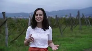 gvino UK Georgian Road Trip, Episode 4 - Telavi