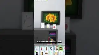 Picture Frame Decoration Tip For The Sims 4