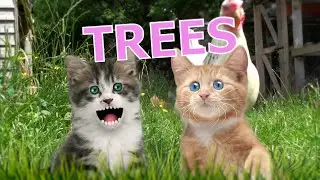 Trees - Rathergood Chat episode 13