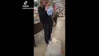 Saturday Adventures with Valentino The SuperFloof