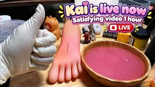 Real livestream. Kai is back! Asmr SATISFYING 1 hour